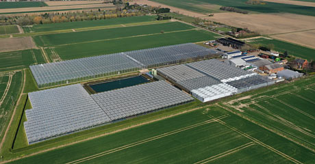 An aerial view of E M Cole Farms site taken in 2019