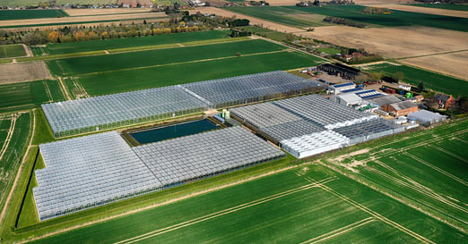 Aerial shot of E M Cole Farms substantial site